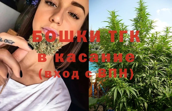 мдпв Саяногорск