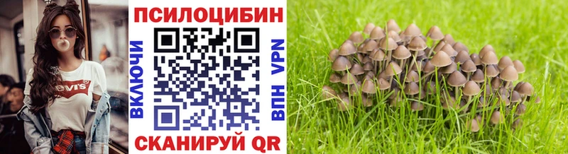 хочу наркоту  Мариинск  Псилоцибиновые грибы мухоморы 